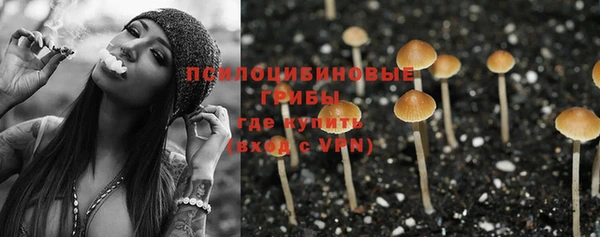 дурь Новодвинск