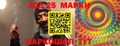 spice Славгород
