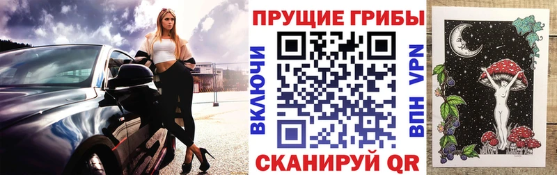 Псилоцибиновые грибы Psilocybine cubensis  Чебоксары 