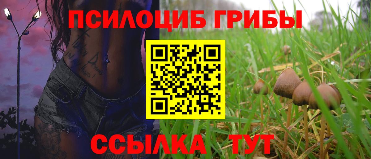 Галлюциногенные грибы GOLDEN TEACHER Чебоксары